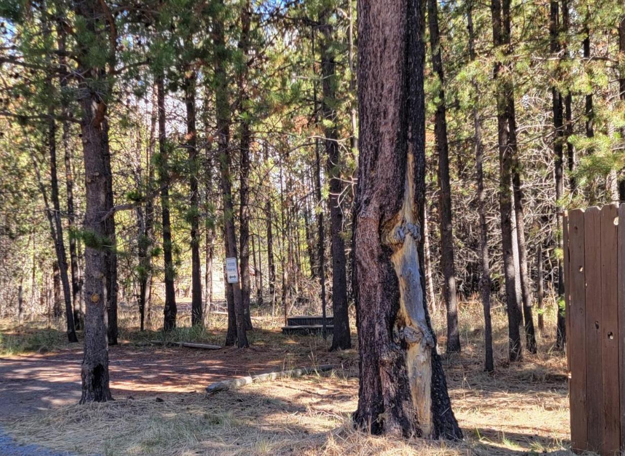 Diamondstone Guest Lodges La Pine Bagian luar foto