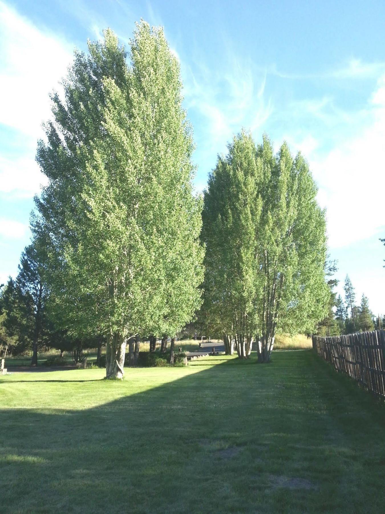 Diamondstone Guest Lodges La Pine Bagian luar foto